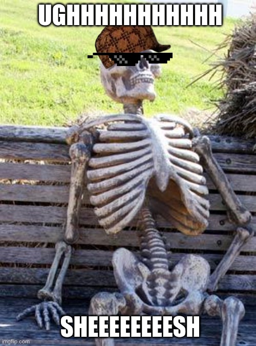 sheeeeeeeesh | UGHHHHHHHHHHH; SHEEEEEEEESH | image tagged in memes,waiting skeleton | made w/ Imgflip meme maker