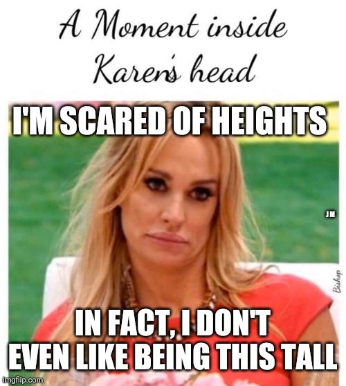 I'M SCARED OF HEIGHTS; J M; IN FACT, I DON'T EVEN LIKE BEING THIS TALL | image tagged in woman yelling at smudge the cat | made w/ Imgflip meme maker