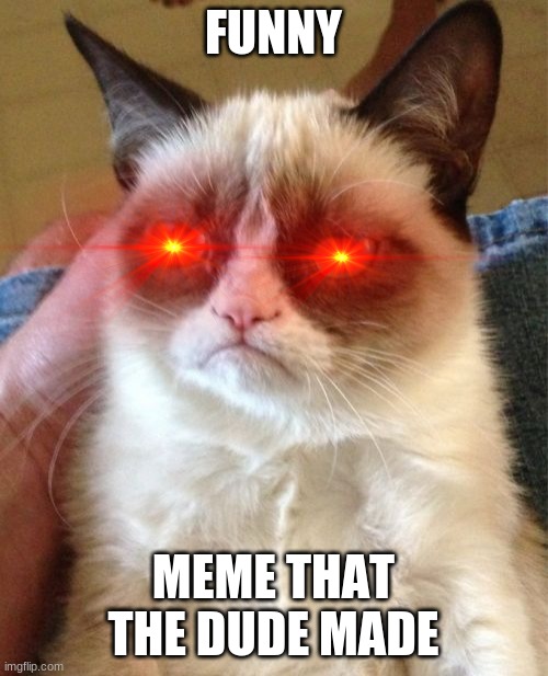 Grumpy Cat Meme | FUNNY MEME THAT THE DUDE MADE | image tagged in memes,grumpy cat | made w/ Imgflip meme maker