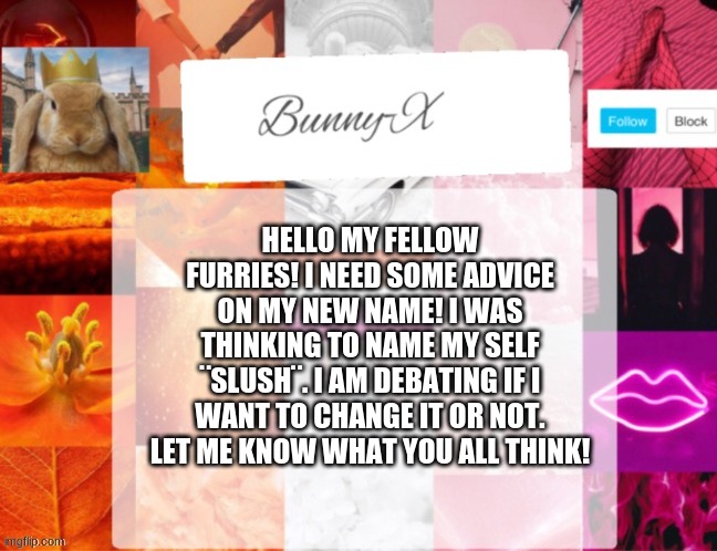 :D | HELLO MY FELLOW FURRIES! I NEED SOME ADVICE ON MY NEW NAME! I WAS THINKING TO NAME MY SELF ¨SLUSH¨. I AM DEBATING IF I WANT TO CHANGE IT OR NOT. LET ME KNOW WHAT YOU ALL THINK! | made w/ Imgflip meme maker