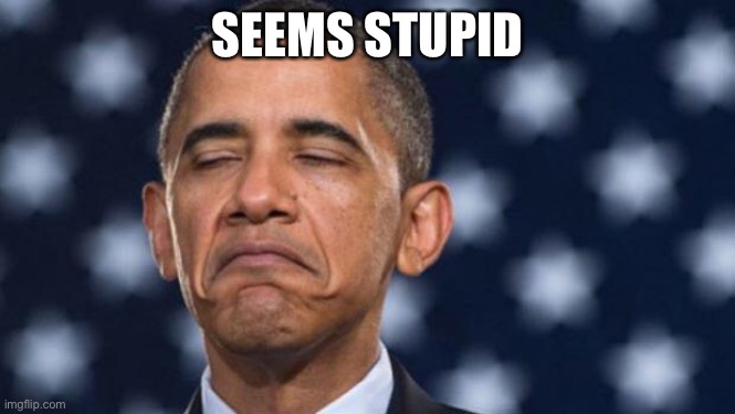 "Seems Legit" Obama | SEEMS STUPID | image tagged in seems legit obama | made w/ Imgflip meme maker