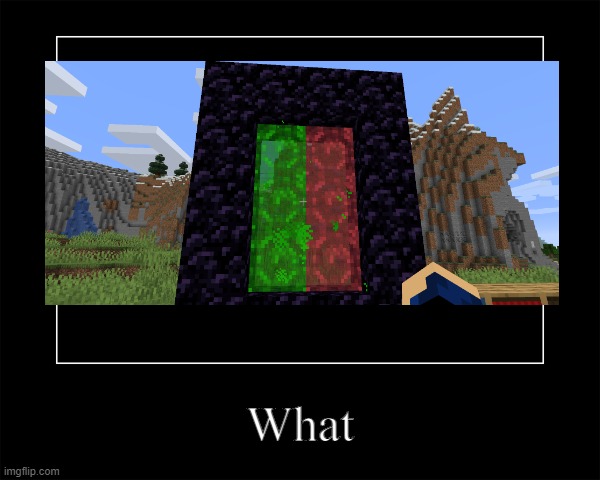 this is vanilla minecraft | What | image tagged in minecraft,demotivationals,what | made w/ Imgflip meme maker