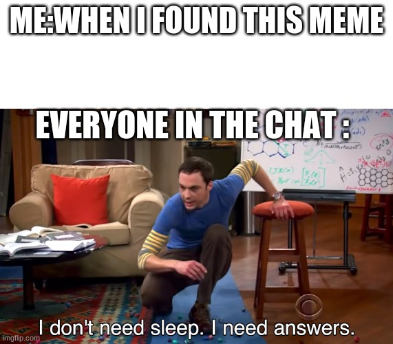ME:WHEN I FOUND THIS MEME EVERYONE IN THE CHAT : | image tagged in i don't need sleep i need answers | made w/ Imgflip meme maker