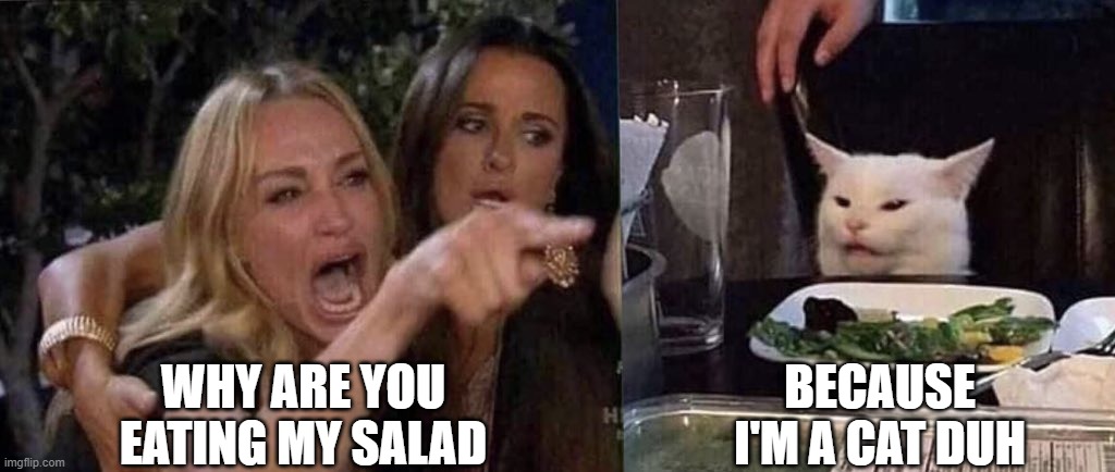 woman yelling at cat | WHY ARE YOU EATING MY SALAD BECAUSE I'M A CAT DUH | image tagged in woman yelling at cat | made w/ Imgflip meme maker