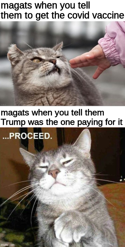 life hacks with beez: covid edition | magats when you tell them to get the covid vaccine; magats when you tell them Trump was the one paying for it | image tagged in disturbed cat,proceed cat,funny,memes,magat,dump trump | made w/ Imgflip meme maker