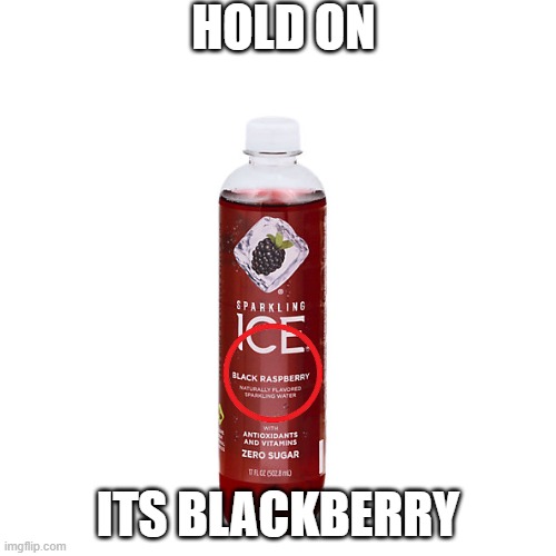its black berry not black rasberry | HOLD ON; ITS BLACKBERRY | image tagged in hold up,you're doing it wrong | made w/ Imgflip meme maker