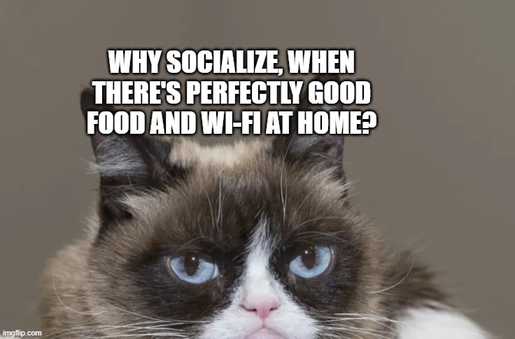 quarantine life be like | WHY SOCIALIZE, WHEN THERE'S PERFECTLY GOOD FOOD AND WI-FI AT HOME? | image tagged in grumpy cat,funny,quarantine,stay home | made w/ Imgflip meme maker