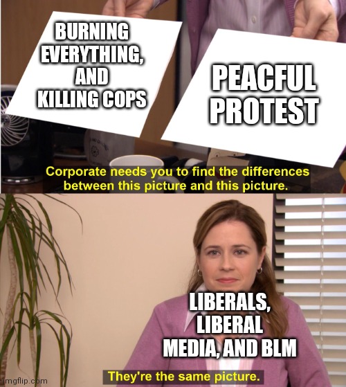 find the difference between | BURNING EVERYTHING, AND KILLING COPS; PEACFUL PROTEST; LIBERALS, LIBERAL MEDIA, AND BLM | image tagged in find the difference between,political meme,burn loot murder,blue lives matter | made w/ Imgflip meme maker