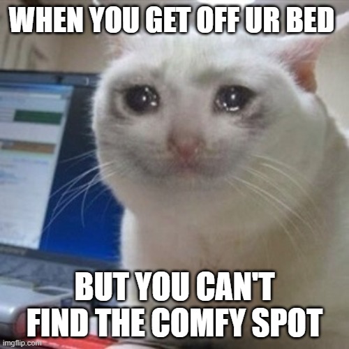 i know its hard | WHEN YOU GET OFF UR BED; BUT YOU CAN'T FIND THE COMFY SPOT | image tagged in crying cat | made w/ Imgflip meme maker