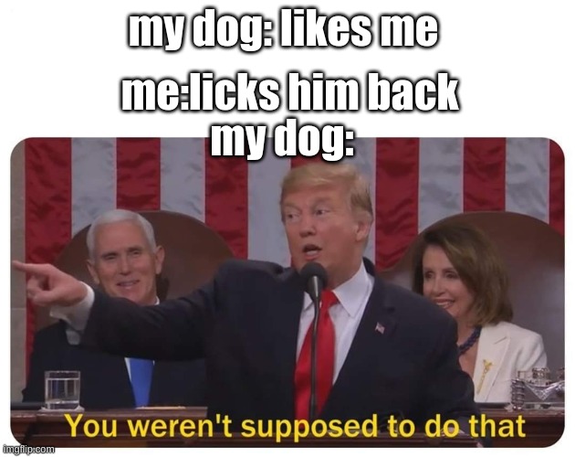 you werent supposed to do that | me:licks him back; my dog: likes me; my dog: | image tagged in you werent supposed to do that | made w/ Imgflip meme maker