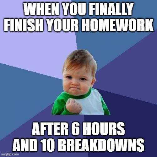 Success Kid Meme | WHEN YOU FINALLY FINISH YOUR HOMEWORK; AFTER 6 HOURS AND 10 BREAKDOWNS | image tagged in memes,success kid | made w/ Imgflip meme maker