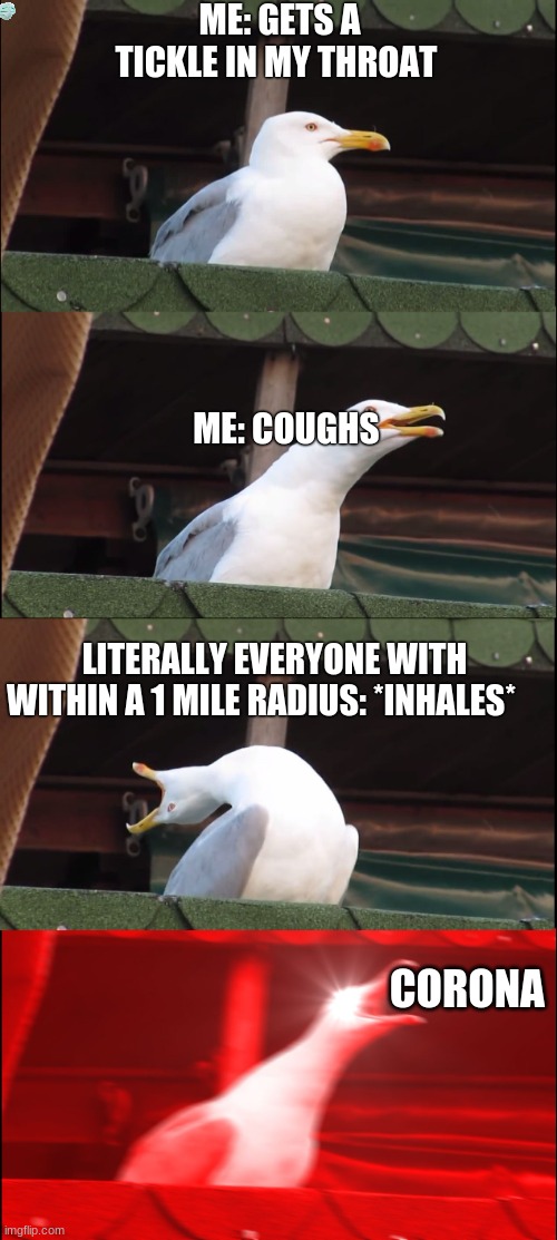 Calm the heck down everyone | ME: GETS A TICKLE IN MY THROAT; ME: COUGHS; LITERALLY EVERYONE WITH WITHIN A 1 MILE RADIUS: *INHALES*; CORONA | image tagged in screaming seagull,corona,funny,relatable,meme | made w/ Imgflip meme maker