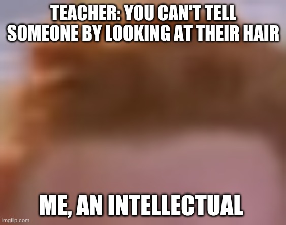 You can tell someone by looking at their hair | TEACHER: YOU CAN'T TELL SOMEONE BY LOOKING AT THEIR HAIR; ME, AN INTELLECTUAL | image tagged in rick,never gonna give you up,hair,rick astley,memes | made w/ Imgflip meme maker