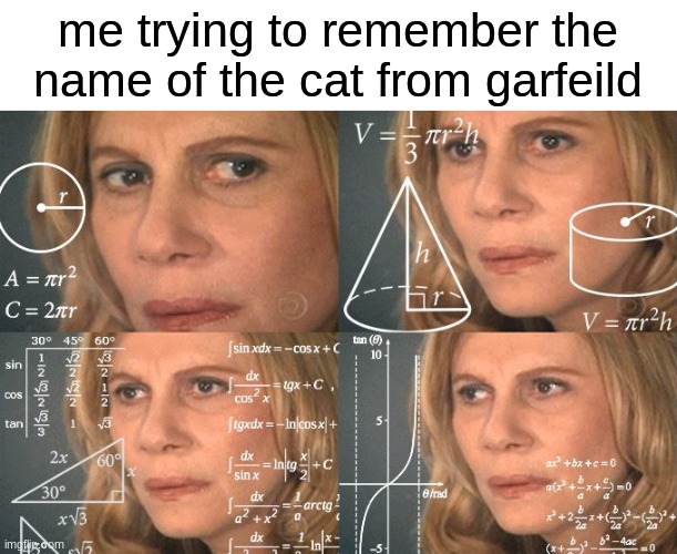 cat | me trying to remember the name of the cat from garfeild | image tagged in calculating meme,garfeild | made w/ Imgflip meme maker