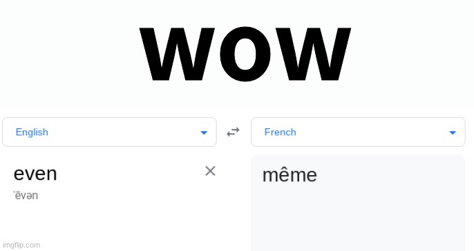 Image Title | wow | image tagged in meme,french,english,google translate,oh wow are you actually reading these tags | made w/ Imgflip meme maker