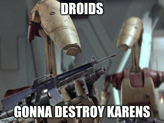Droids are good security | DROIDS; GONNA DESTROY KARENS | image tagged in battle droid,security,karens,star wars | made w/ Imgflip meme maker