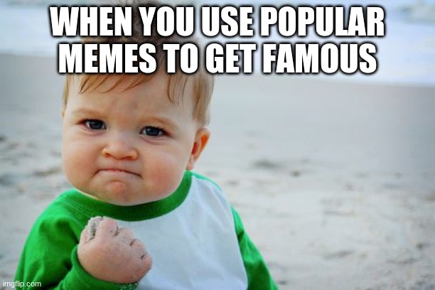 this probubly wont work but why not | WHEN YOU USE POPULAR MEMES TO GET FAMOUS | image tagged in memes,success kid original | made w/ Imgflip meme maker