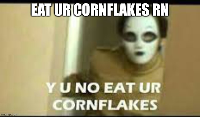 Y U NO EAT YOUR CORNFLAKES | EAT UR CORNFLAKES RN | image tagged in y u no eat your cornflakes | made w/ Imgflip meme maker