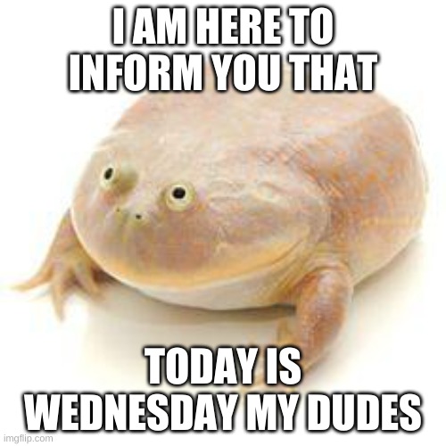 Wednesday Frog Blank | I AM HERE TO INFORM YOU THAT; TODAY IS WEDNESDAY MY DUDES | image tagged in wednesday frog blank | made w/ Imgflip meme maker