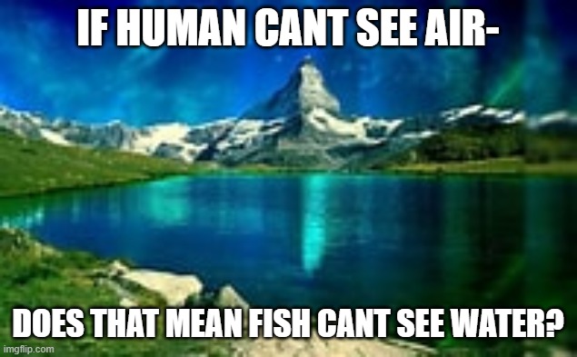 IF HUMAN CANT SEE AIR-; DOES THAT MEAN FISH CANT SEE WATER? | made w/ Imgflip meme maker