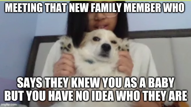 That Moment When... | MEETING THAT NEW FAMILY MEMBER WHO; SAYS THEY KNEW YOU AS A BABY BUT YOU HAVE NO IDEA WHO THEY ARE | image tagged in awkward moment,laugh,memes,dog | made w/ Imgflip meme maker