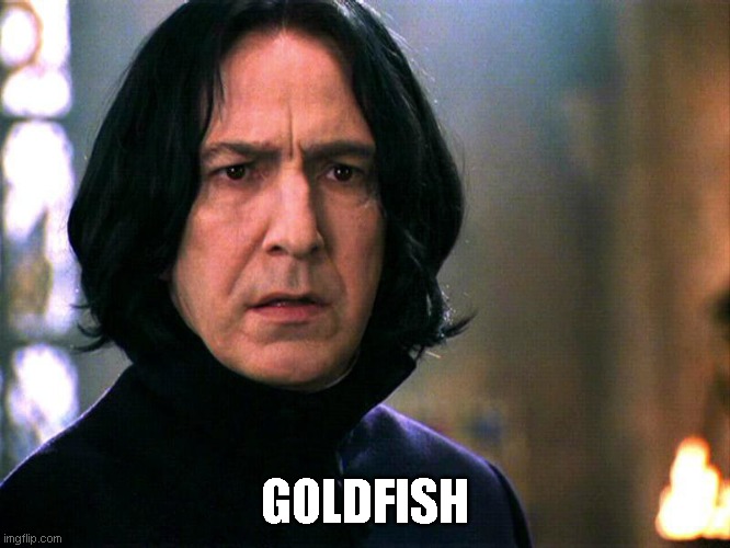 Snape Always..... | GOLDFISH | image tagged in snape always | made w/ Imgflip meme maker