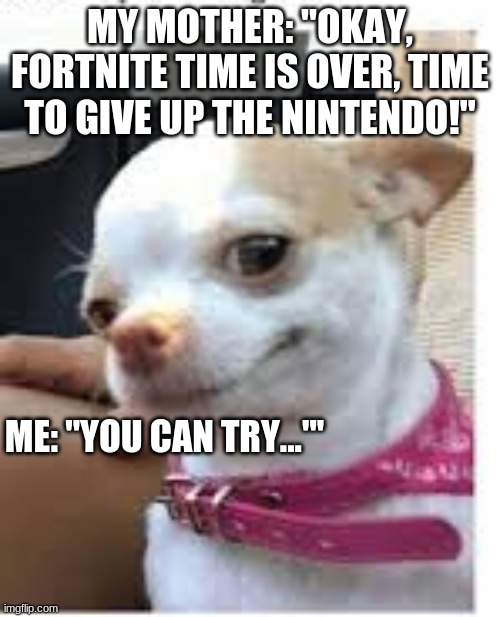 MY PRECIOUS... | MY MOTHER: ''OKAY, FORTNITE TIME IS OVER, TIME TO GIVE UP THE NINTENDO!''; ME: ''YOU CAN TRY...''' | image tagged in fun | made w/ Imgflip meme maker