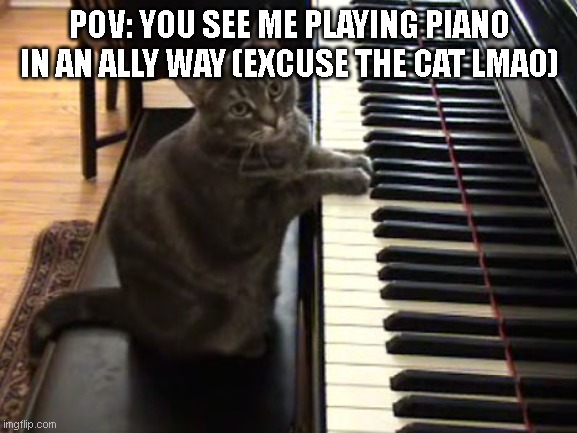 idkk | POV: YOU SEE ME PLAYING PIANO IN AN ALLY WAY (EXCUSE THE CAT LMAO) | image tagged in cat piano | made w/ Imgflip meme maker