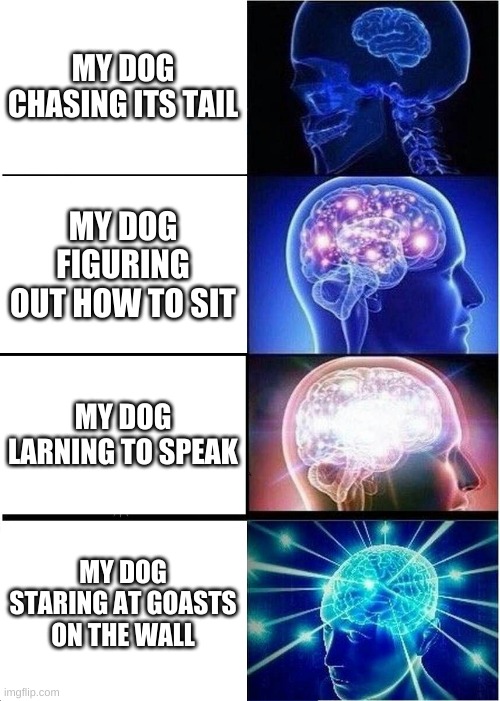 Expanding Brain | MY DOG CHASING ITS TAIL; MY DOG FIGURING OUT HOW TO SIT; MY DOG LARNING TO SPEAK; MY DOG STARING AT GOASTS ON THE WALL | image tagged in memes,expanding brain | made w/ Imgflip meme maker