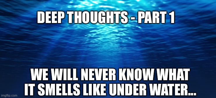 underwater ocean | DEEP THOUGHTS - PART 1; WE WILL NEVER KNOW WHAT IT SMELLS LIKE UNDER WATER... | image tagged in underwater ocean | made w/ Imgflip meme maker