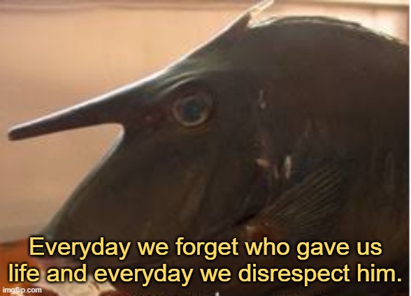 Aqua.exe | Everyday we forget who gave us life and everyday we disrespect him. | image tagged in aqua exe | made w/ Imgflip meme maker