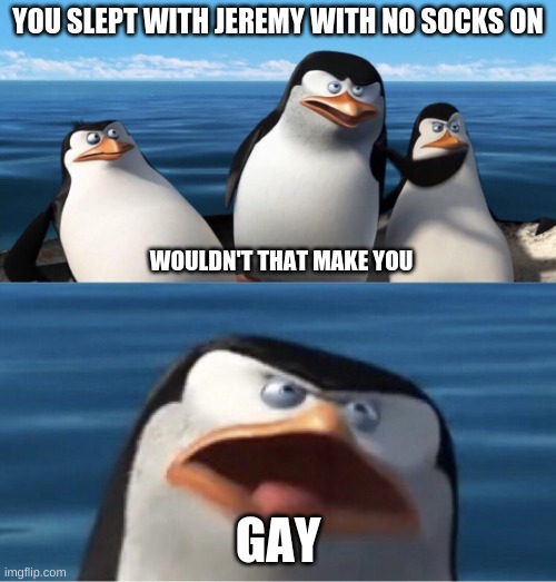 he got you there buddy | YOU SLEPT WITH JEREMY WITH NO SOCKS ON; WOULDN'T THAT MAKE YOU; GAY | image tagged in wouldn't that make you,penguin,fun,memes,gay | made w/ Imgflip meme maker