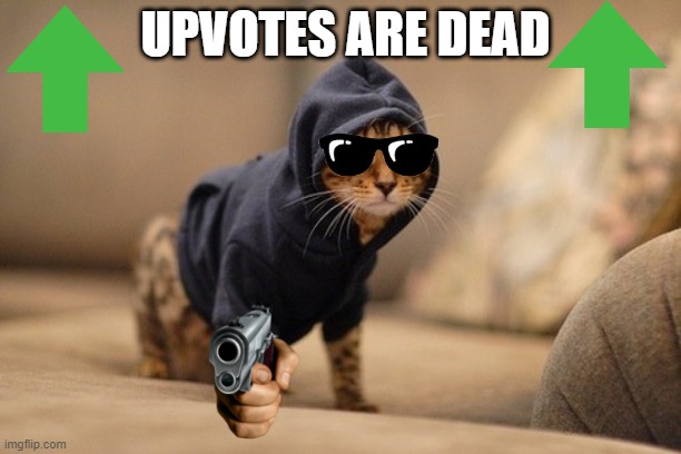 Hoody Cat | UPVOTES ARE DEAD | image tagged in memes,hoody cat | made w/ Imgflip meme maker