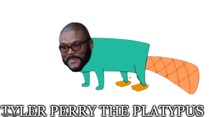 *Wheeze* Why- | TYLER PERRY THE PLATYPUS | image tagged in what have i done | made w/ Imgflip meme maker