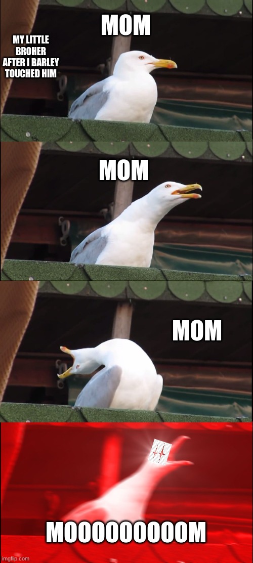 sorry for messup | MOM; MY LITTLE BROHER AFTER I BARLEY TOUCHED HIM; MOM; MOM; MOOOOOOOOOM | image tagged in memes,inhaling seagull | made w/ Imgflip meme maker