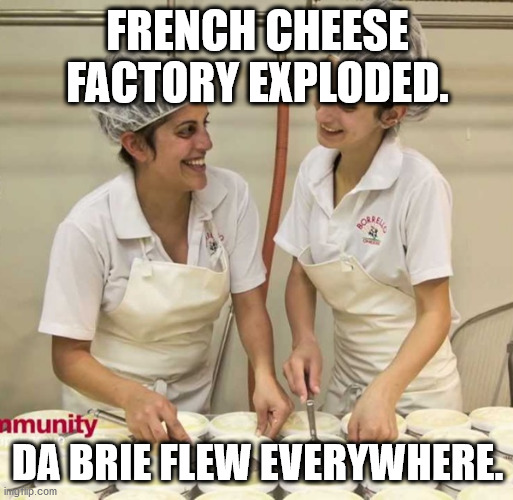 French cheese | FRENCH CHEESE FACTORY EXPLODED. DA BRIE FLEW EVERYWHERE. | image tagged in da brie,french,cheese | made w/ Imgflip meme maker