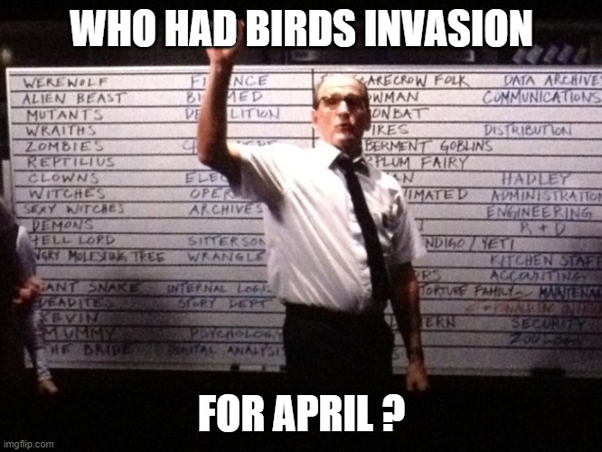 who had brids for april ? | WHO HAD BIRDS INVASION; FOR APRIL ? | image tagged in who had x for y | made w/ Imgflip meme maker