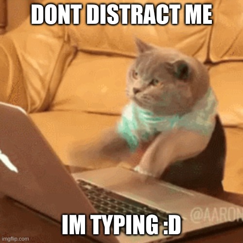 fast typing cat | DONT DISTRACT ME; IM TYPING :D | image tagged in fast typing cat | made w/ Imgflip meme maker