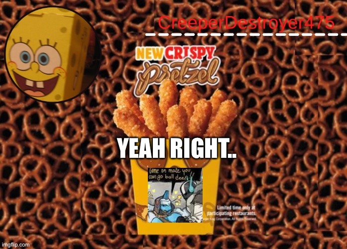 For context (read the tag): https://imgflip.com/i/57h6fc?nerp=1619629498#com11313332 | YEAH RIGHT.. | made w/ Imgflip meme maker