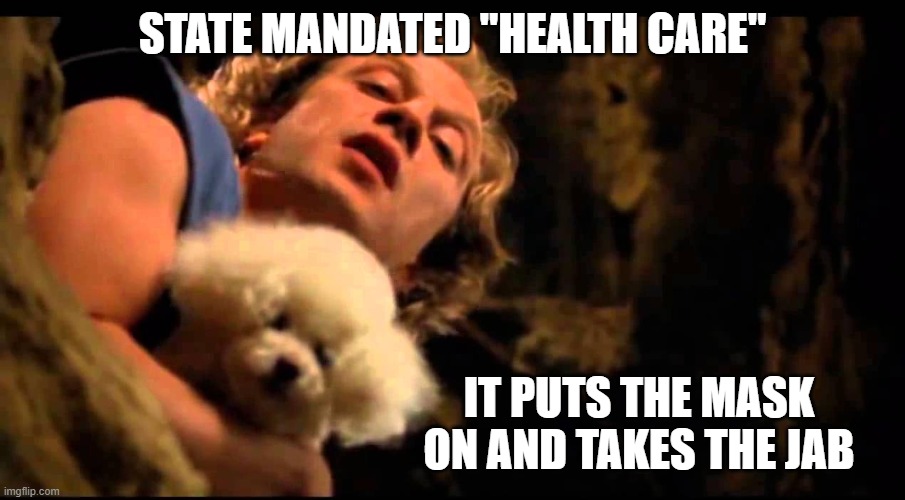 It puts the mask on and takes the jab. | STATE MANDATED "HEALTH CARE"; IT PUTS THE MASK ON AND TAKES THE JAB | image tagged in coronavirus,corona virus,masks,wear a mask,vaccines,vaccine | made w/ Imgflip meme maker
