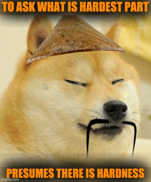 Barkfucius asian Doge Barkfucious | TO ASK WHAT IS HARDEST PART PRESUMES THERE IS HARDNESS | image tagged in barkfucius asian doge barkfucious | made w/ Imgflip meme maker