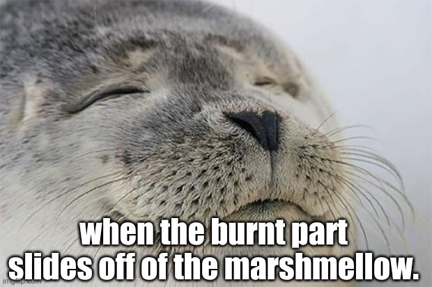 Satisfied Seal | when the burnt part slides off of the marshmellow. | image tagged in memes,satisfied seal | made w/ Imgflip meme maker