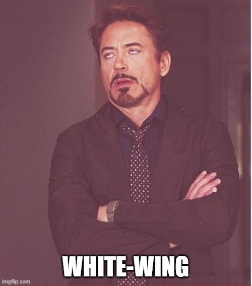 Face You Make Robert Downey Jr Meme | WHITE-WING | image tagged in memes,face you make robert downey jr | made w/ Imgflip meme maker