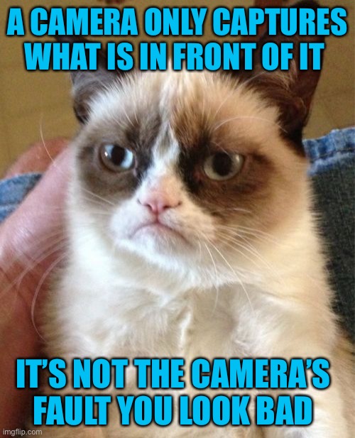 Fair enough LOL | A CAMERA ONLY CAPTURES WHAT IS IN FRONT OF IT; IT’S NOT THE CAMERA’S FAULT YOU LOOK BAD | image tagged in memes,grumpy cat,selfies,44colt,camera,facebook | made w/ Imgflip meme maker