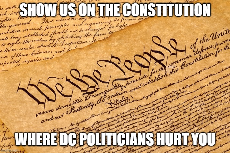 Personal Harassment Constitution doll | SHOW US ON THE CONSTITUTION; WHERE DC POLITICIANS HURT YOU | image tagged in freedom | made w/ Imgflip meme maker