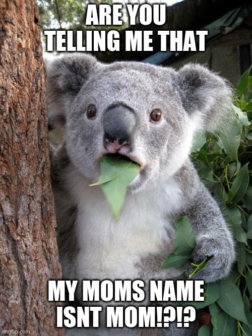 Surprised Koala | ARE YOU TELLING ME THAT; MY MOMS NAME ISNT MOM!?!? | image tagged in memes,surprised koala | made w/ Imgflip meme maker