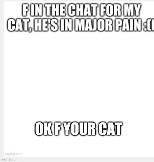 OK F YOUR CAT | made w/ Imgflip meme maker