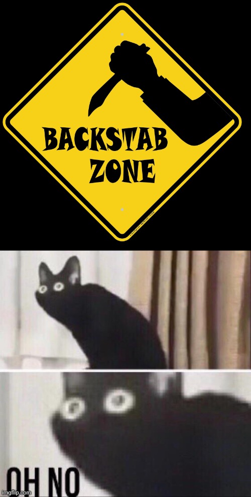 Backstab Zone | image tagged in oh no cat,dark humor,memes,meme,backstabber,signs | made w/ Imgflip meme maker