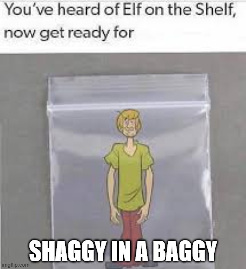 E | SHAGGY IN A BAGGY | image tagged in scooby doo,get ready for | made w/ Imgflip meme maker