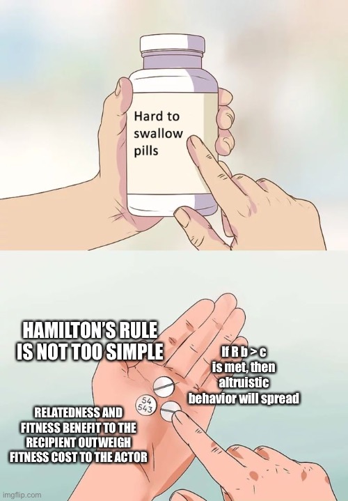 Hard To Swallow Pills Meme | HAMILTON’S RULE IS NOT TOO SIMPLE; If R b > c is met, then altruistic behavior will spread; RELATEDNESS AND FITNESS BENEFIT TO THE RECIPIENT OUTWEIGH FITNESS COST TO THE ACTOR | image tagged in memes,hard to swallow pills | made w/ Imgflip meme maker